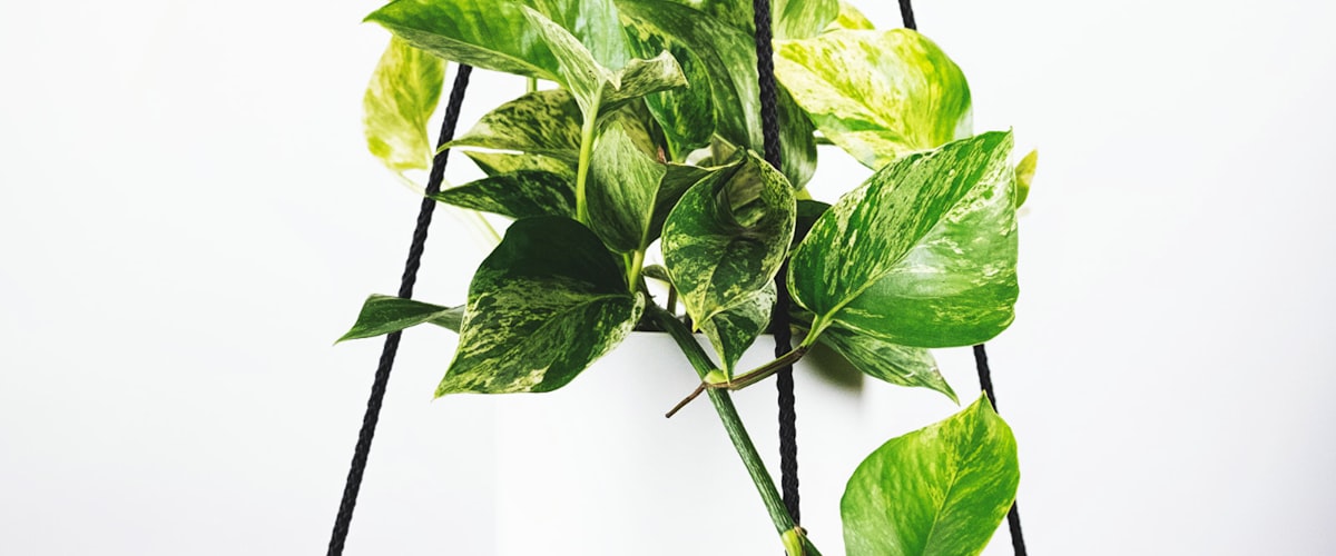 足球教练在战术板前向球员讲解战术